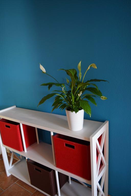 Ferienwohnung Obstkorb Stralsund Zimmer foto